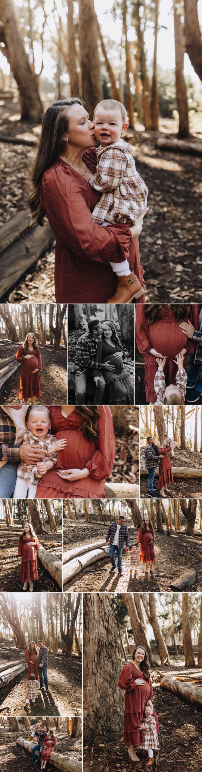 Pregnancy photoshoot at lover's lane in San Francisco. 