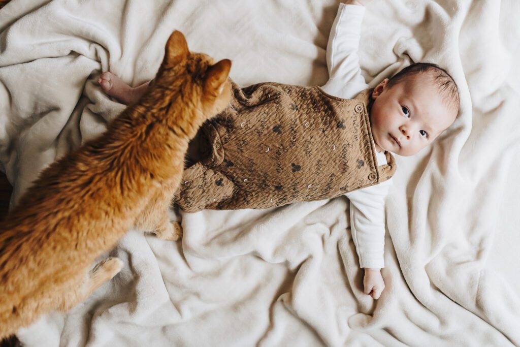 Cat and baby together during in-home session