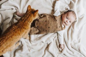 Cat and baby together during in-home session